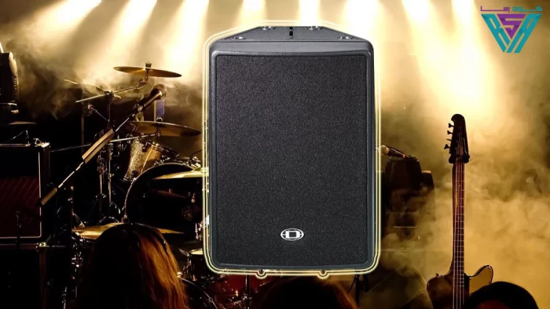 بلندگو پسیو دایناکورد DYNACORD D12